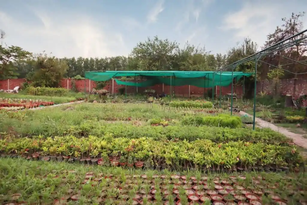 Nursery