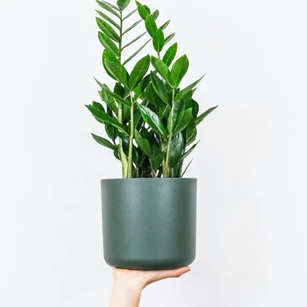 feey-cLaaxa4DSnc-unsplash